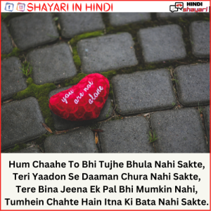 love shayari english mein