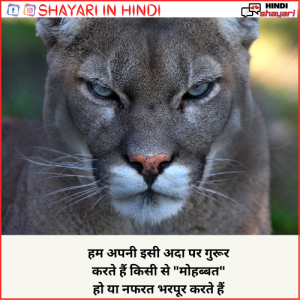 hindi sher shayari