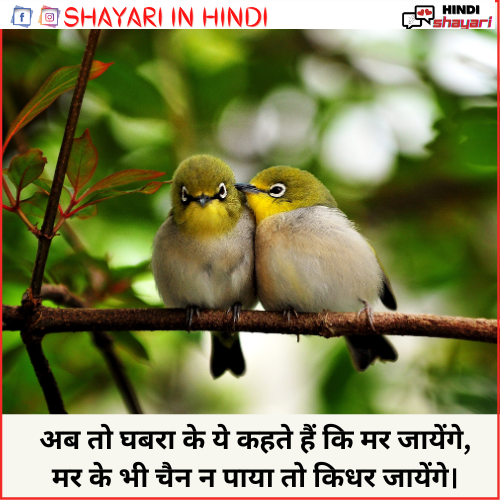 Love Shayari Copy Paste - लव शायरी कॉपी पेस्ट » Shayari in Hindi