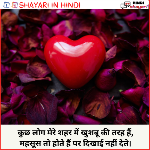 Hindi Shayari Love 😇 Story - हिंदी शायरी लव😇स्टोरी